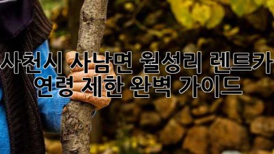 사천시 사남면 월성리 렌트카 연령 제한 완벽 가이드